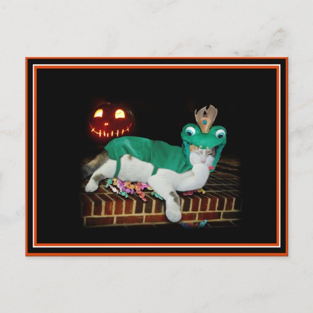 Halloween Cat ist Gettin' The Goods! Postkarte (Vorderseite)