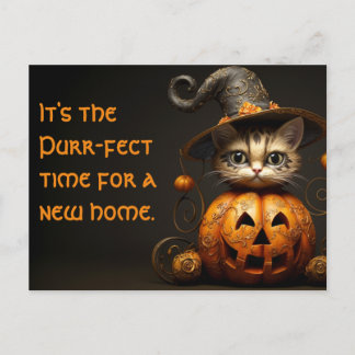 Halloween Cat Real Anwesen Marketing Postkarte
