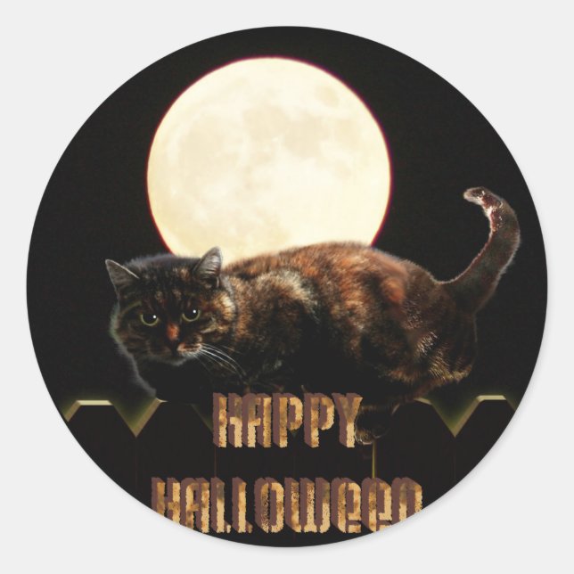Halloween Cat und Vollmond Runder Aufkleber (Vorderseite)