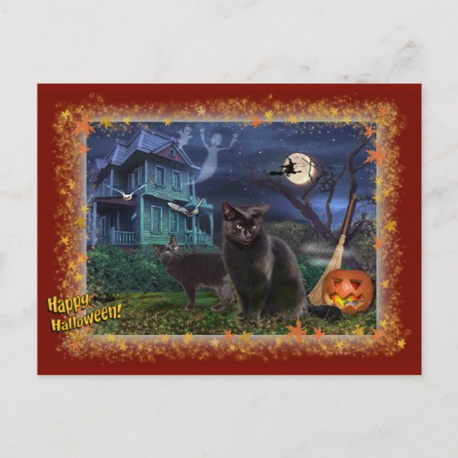 Halloween Cats Postkarte (Vorderseite)