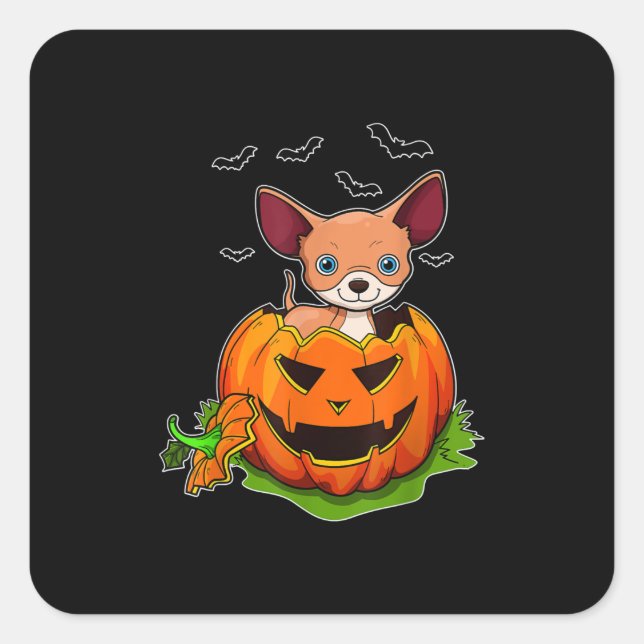Halloween Chihuahua Dog Lovers Pumpkin Grunge Jack Quadratischer Aufkleber (Vorderseite)
