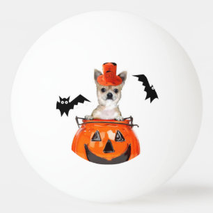 Halloween-Chihuahuahund Tischtennisball