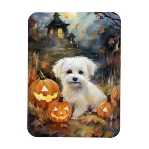 Halloween Coton De Tulear mit Pumpkins Beängstigen Magnet