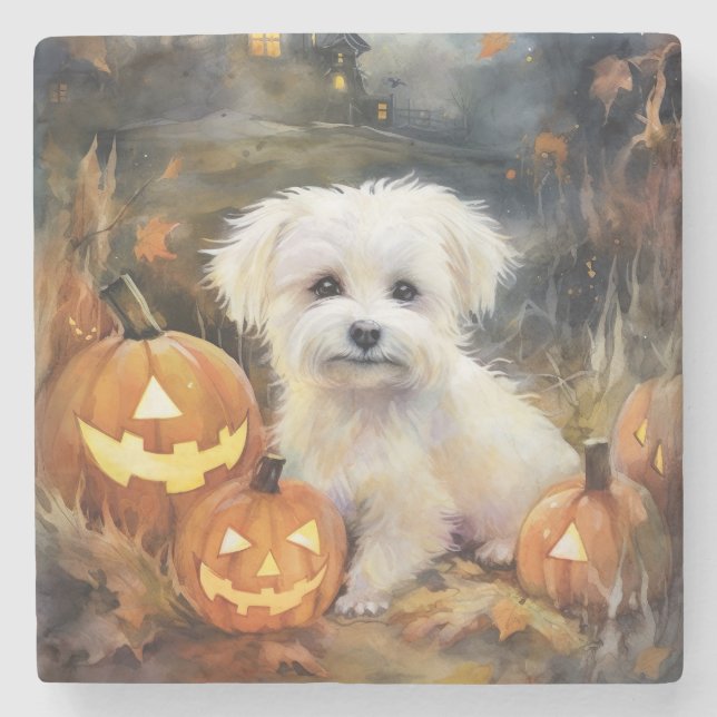 Halloween Coton De Tulear mit Pumpkins Beängstigen Steinuntersetzer (Vorderseite)