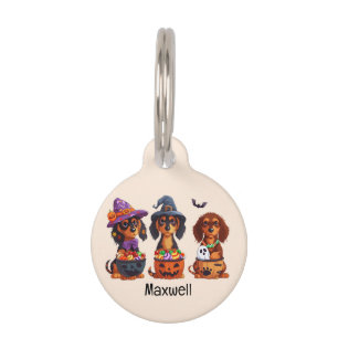 Halloween Dackel Hunde Pumpkin Candy Bucket Haustiermarke