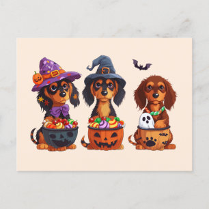 Halloween Dackel Hunde Pumpkin Candy Bucket Postkarte