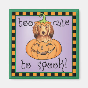 Halloween-Dackel Magnet