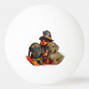 Halloween-Dackelwelpen Tischtennisball