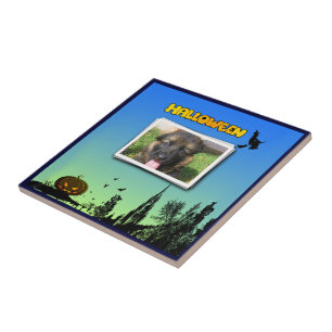 Halloween Dusk with Witch Add Photo Frame Fliese