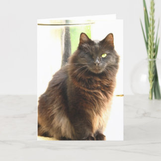 Halloween-Ein mit Augen schwarze Katze Karte