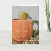 Halloween-Entlein