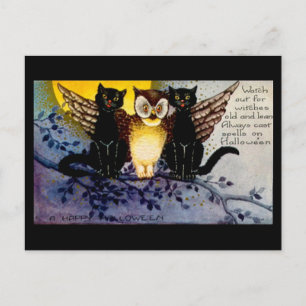 Halloween-Eule und schwarze Katzen Postkarte