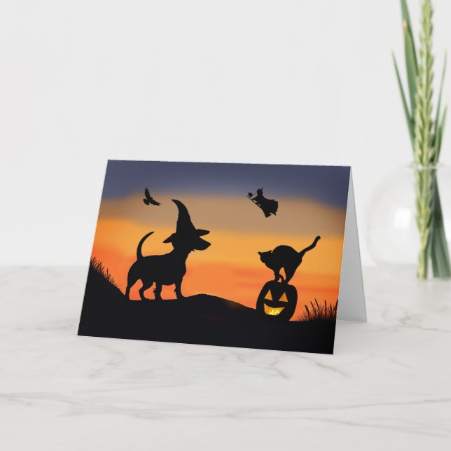 Halloween Funny mit Dackel Hund Hexe Cat Raven Karte (Vorderseite)