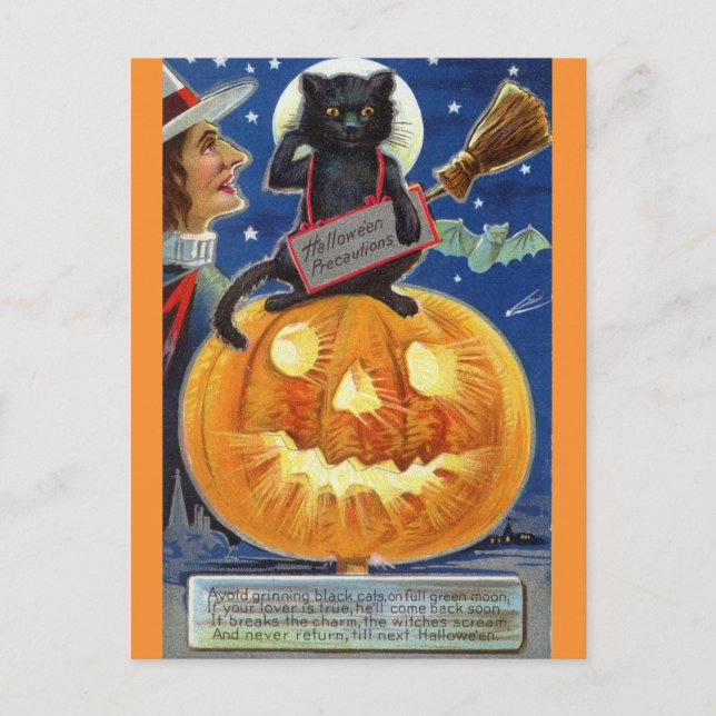 Halloween Funny Vintag Witze Black Cat Pumpkin Postkarte (Vorderseite)