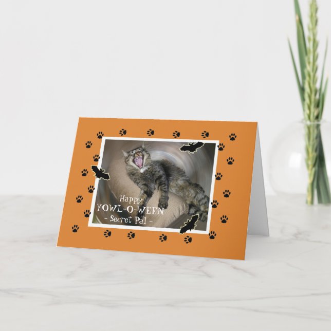 Halloween für geheime Pal-Scaredy-Katzen Karte (Vorderseite)