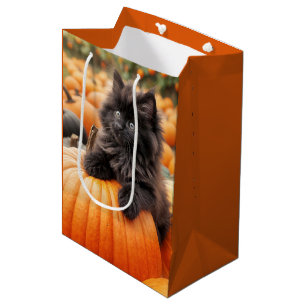 Halloween Geburtstag Kitten On Pumpkin Mittlere Geschenktüte