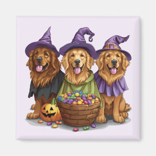 Halloween Golden Retriever Hexenhunde Magnet