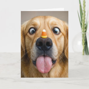 Halloween Golden Retriever mit Candy Corn Karte