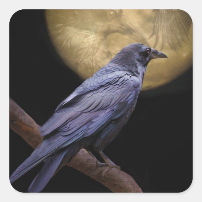 Halloween, Gothic Style Raven and Moon Quadratischer Aufkleber (Vorderseite)