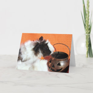 Halloween Guinea Pig Karte