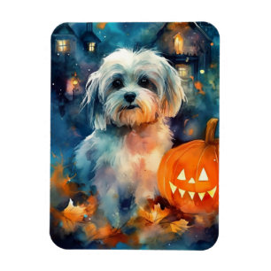 Halloween Havanese mit Pumpkins Beängstigend Magnet