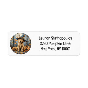 Halloween Hexe Golden Retriever Welpe Kürbisse