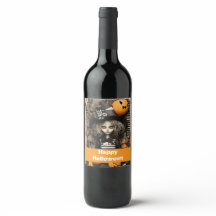 Halloween-Hexe mit Kürbissen