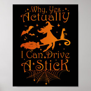 Halloween Hexengeschenke Warum ja eigentlich kann  Poster