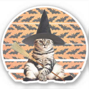 Halloween Hexenkatze Aufkleber