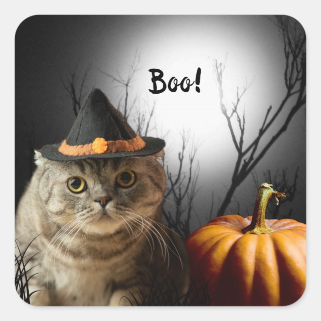 Halloween Hexenkatze mit Kürbisklebern Quadratischer Aufkleber (Vorderseite)