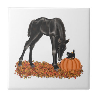 Halloween Horse Colt Kitty Fliese