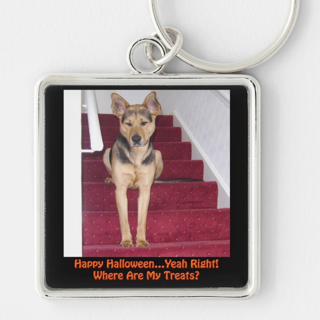 Halloween Hund Keine Leckereien Schlüsselanhänger (Vorne)