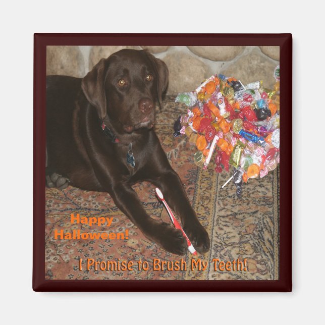 Halloween Hund mit Sweet Tooth Magnet (Vorne)