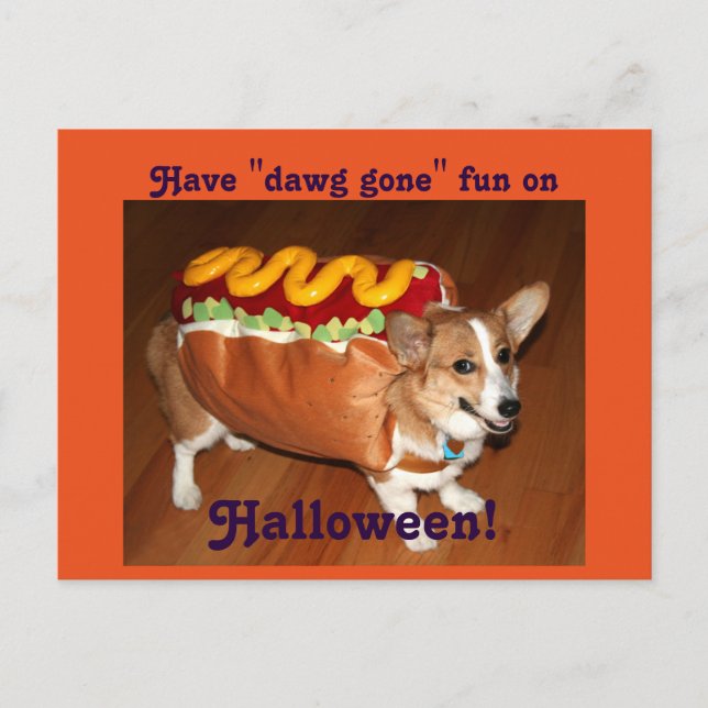 Halloween Hund Postkarte (Vorderseite)