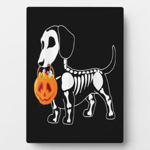 Halloween-Hundekostüm Fotoplatte