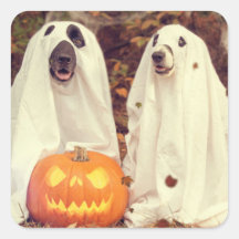 HALLOWEEN HUNDEN ALS GHOSTS SQUARE STICKER