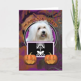 Halloween - Just a Lil Spooky - Coton de Tulear Karte