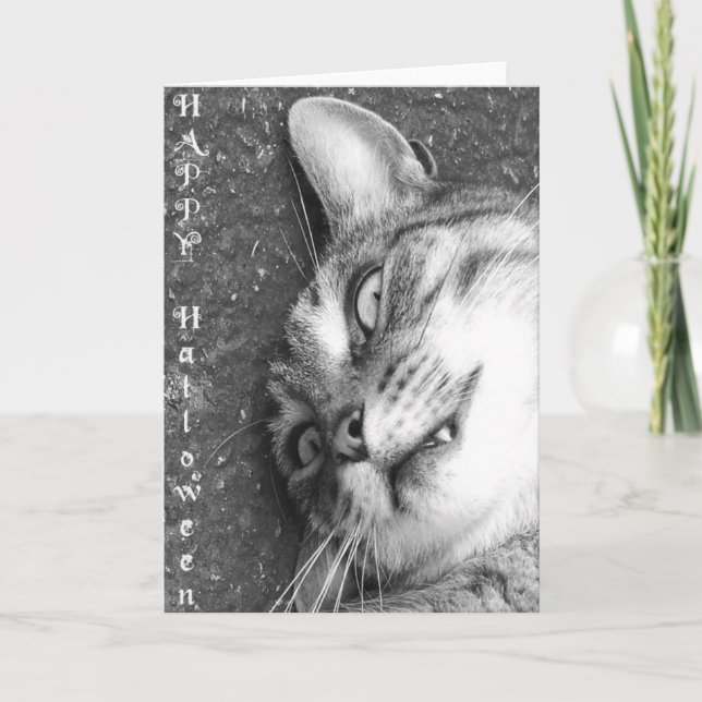 Halloween-Katze Karte (Vorderseite)