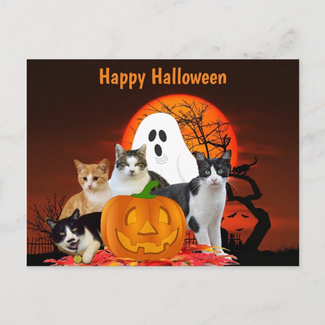 Halloween Katzen auf dem Friedhof mit Geist / Katz Postkarte (Vorderseite)