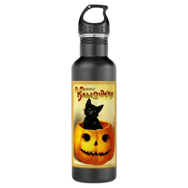 Halloween Kitty sitzt in der Kürbislaterne Edelstahlflasche (Vorderseite)