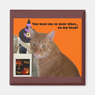 Halloween Kitty - Wear What Magnet