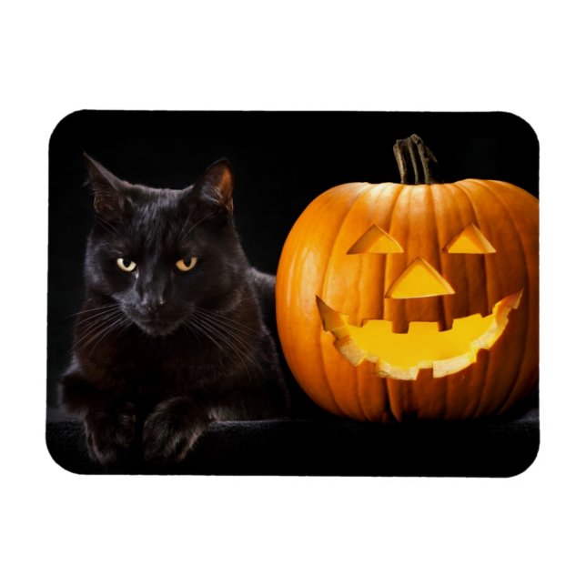 Halloween Kürbis und Schwarze Katze Magnet (Horizontal)