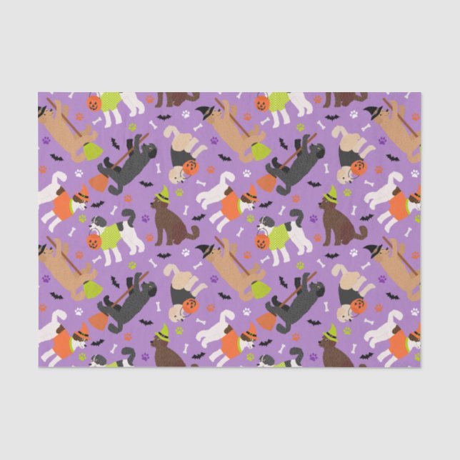 Halloween Labradoodle/Goldendooddel-Tissue Seidenpapier (Vorderseite)