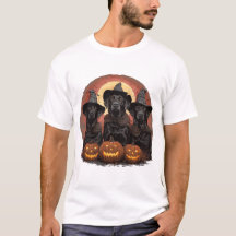 Halloween Labrador Retriever Hunde Hexenhats