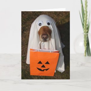 Halloween-Leckereien mit Geist-Hund und Goodie Karte