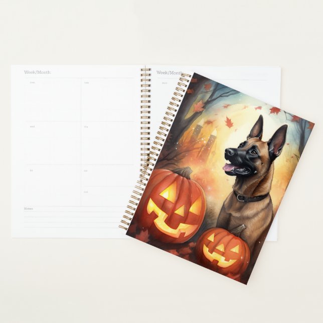 Halloween Malinoi Belge Avec Peur Citrouille (Devant avec enveloppe)