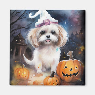 Halloween Malti Tzu mit Pumpkins Beängstigend Magnet
