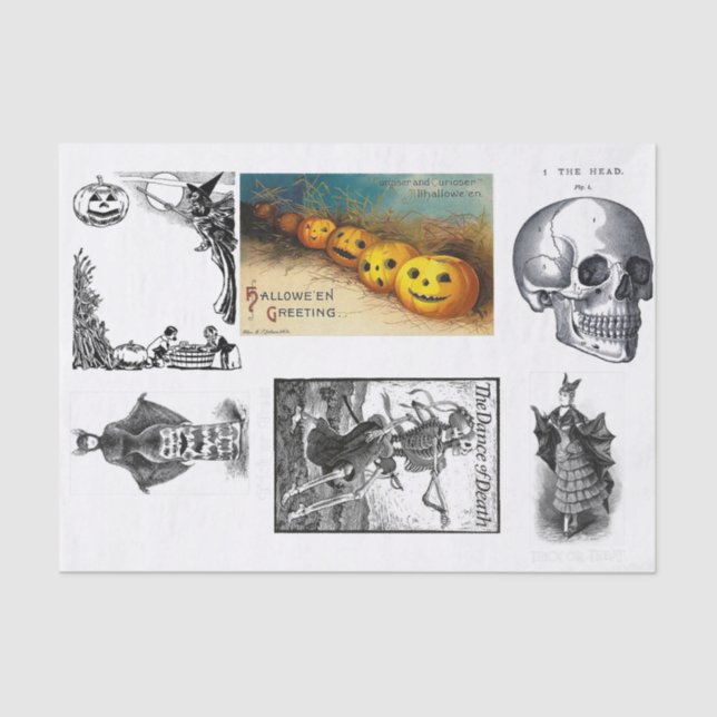 Halloween-Menagerie Seidenpapier (Vorderseite)