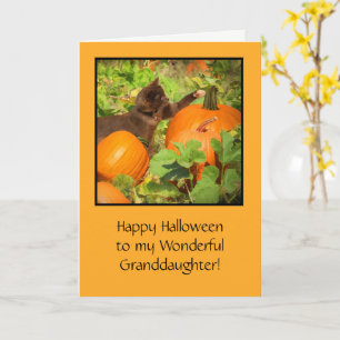 Halloween mit Niedlichen Katzenkürbis für die Enke Karte