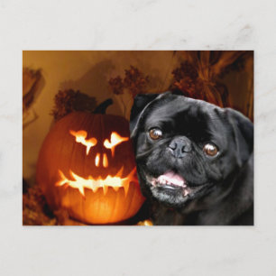 Halloween Mops Dog Postkarte